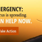 Zika virus is spreading
