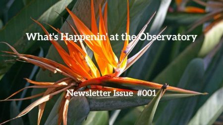 The Caribbean Observatory on SRHR Newsletter Issue #001