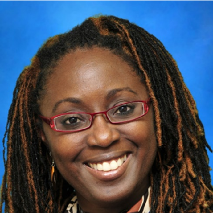 Dr Anna Kasafi Perkins